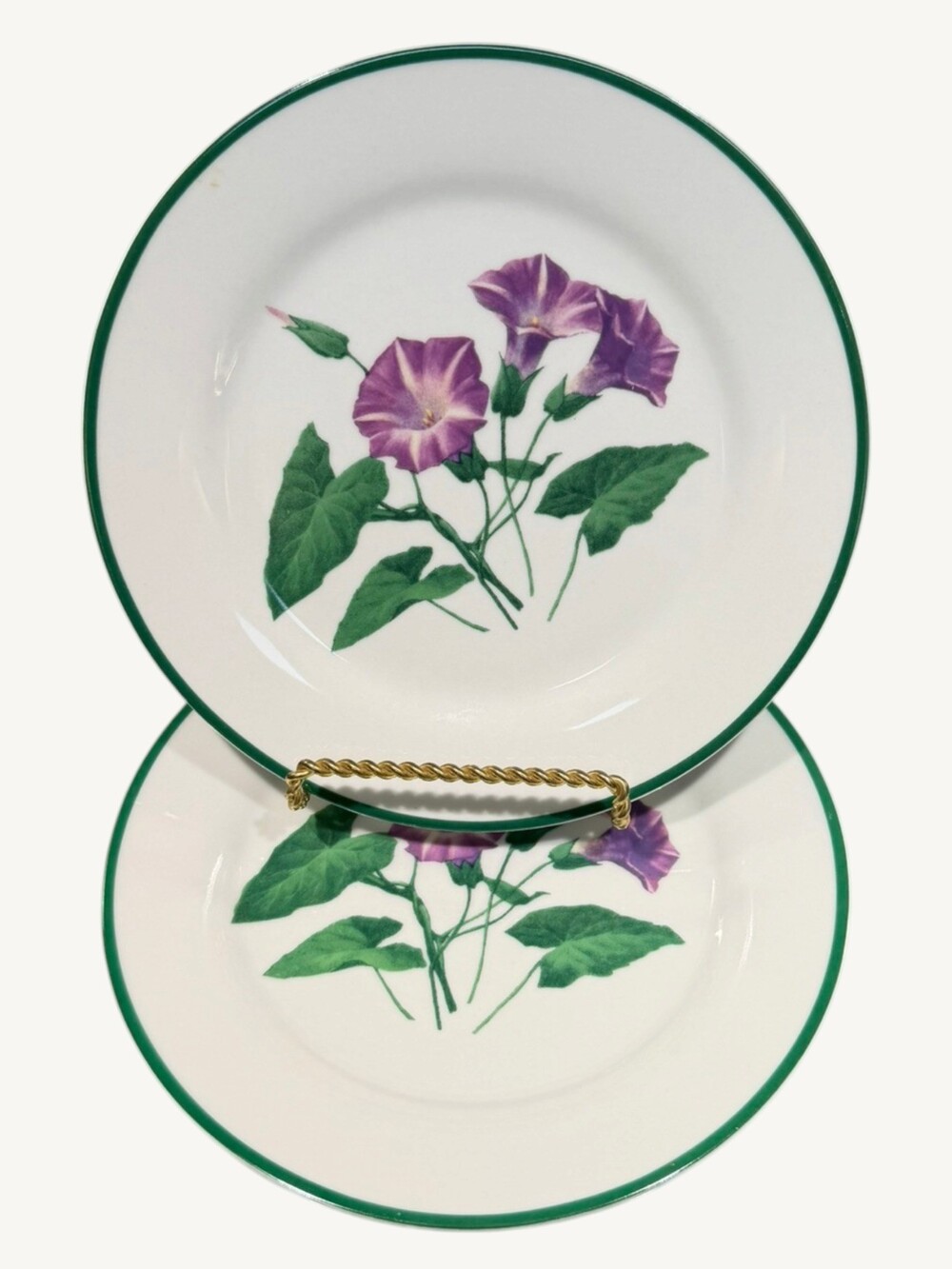 National Wildlife Federation American Wildflowers Morning Glory 7.75" Salad-Set